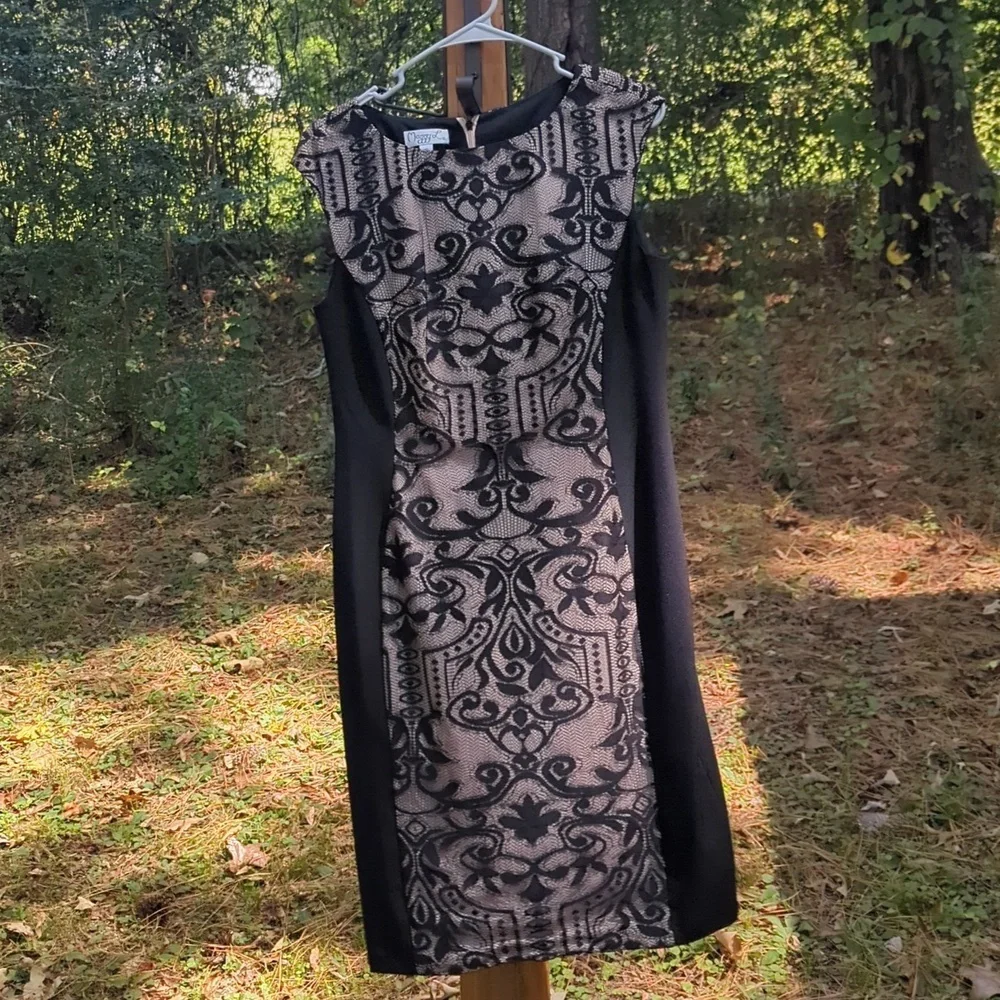 Like New Maggy London Gorgeous Black Lace Dress - Picture 9 of 10